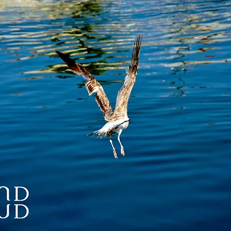 Lejlighed Les Caravelles - Avec Parking Proche *