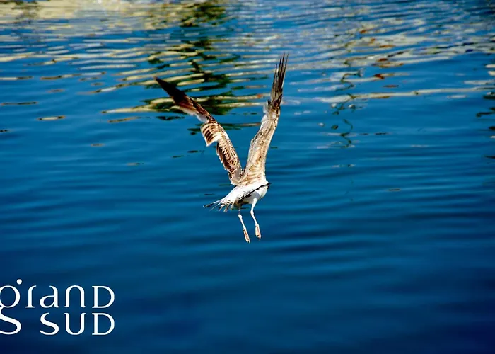 Апартаменты Les Caravelles - Avec Parking Proche *